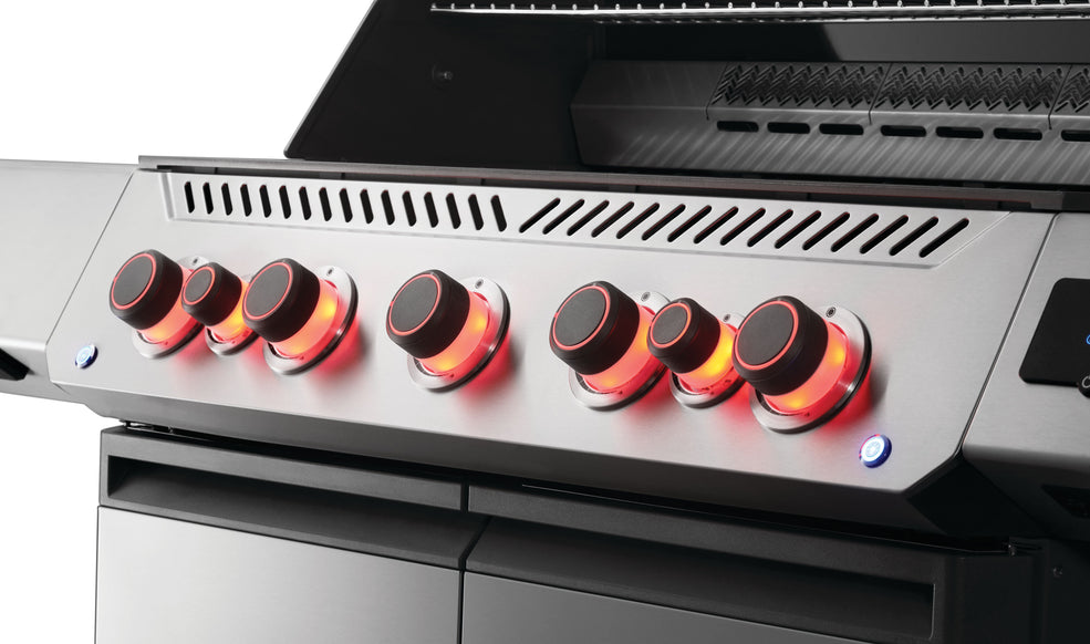 Napoleon Prestige 665 Connected RSIB