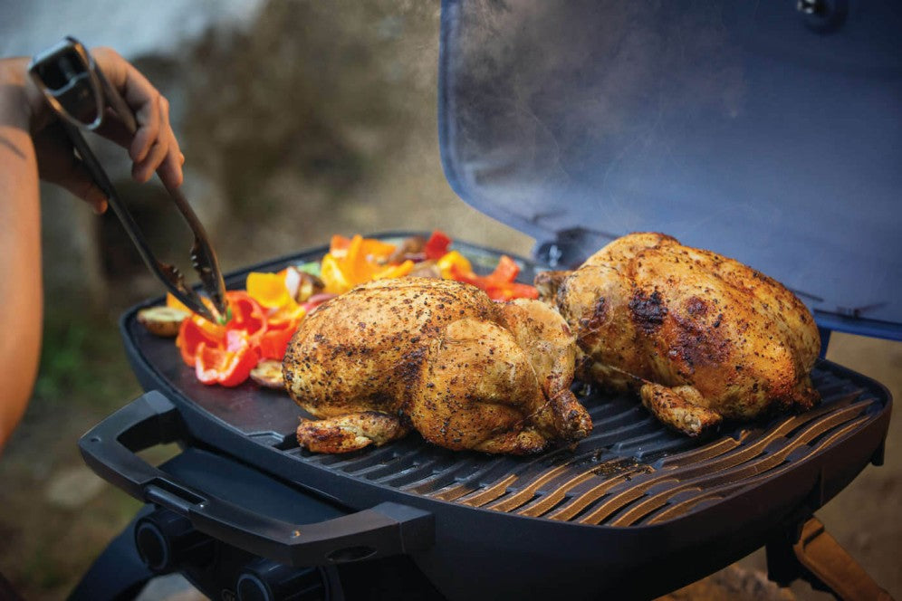 napoleon camping grill Napoleon 12000 BTU 24 Inch Wide Liquid Propane Free Standing Grill
