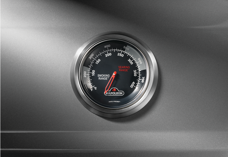 Napoleon Freestyle 425 SB Gas Grill